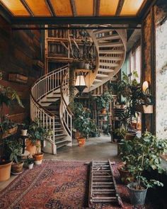 a spiral staircase in the middle of a room filled with potted plants