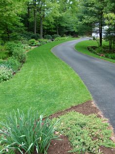 a winding road in the middle of a lush green park with lots of trees and bushes