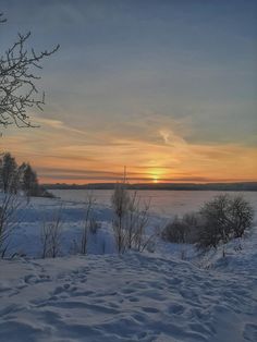 the sun is setting over a snowy landscape with trees and bushes in the foreground