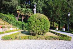 a stone pathway leads to a statue in the middle of a garden with trees and bushes