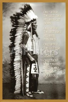 Wisdom Art, American Indian Quotes, Native American Spirituality, American Quotes, Native American Wisdom, American Indian History, Native American Pictures, Native American Quotes, Native American Heritage