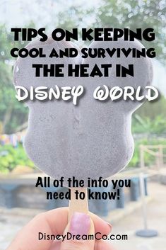 someone holding up a lollipop with the words tips on keeping cool and surviving the heat in disney world