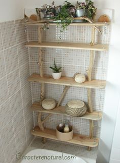 the shelves in the bathroom are made out of wood and have plants growing on them