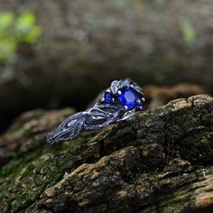 a blue ring sitting on top of a tree branch