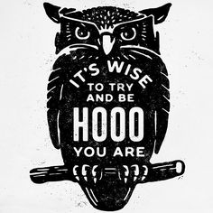 an owl with the words it's wise to try and be hooo you are