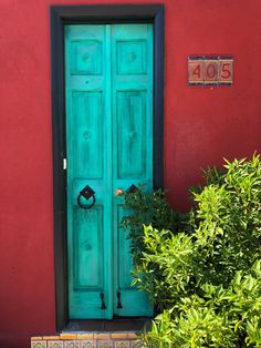 a blue door is in front of a red wall and green plants are around it