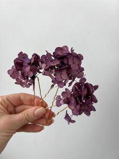 Dried flower hair pin for Purple Wedding ceremony. Made with real preserved Hydrangea flowers. Price is for 1 hair pin! Size approx. - 3 x 12 cm. PROCESSING TIME : 1-3 business days Estimated delivery times: All parcels to United States will be delivered via USPS - 8-12 business days, parcels within EUROPEAN UNION (incl. UK, Switzerland, Norway) will be delivered via UPS standard service - 5-10 business days (+ phone number is required for the courier), Parcels to Canada, Australia and other cou Bridal Boho Hair, Dried Floral Wedding Purple, Purple Flower-shaped Jewelry For Weddings, Purple Wedding Ceremony, Country Wedding Hairstyles, Dried Purple Bouquet, Floral Bridal Hair Accessories, Purple Flower Hair Piece, Hydrangea Dried