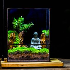 a small buddha statue sitting in front of an aquarium filled with plants and rocks on a wooden stand