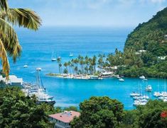 boats are docked in the blue water near palm trees and houses on an island surrounded by mountains