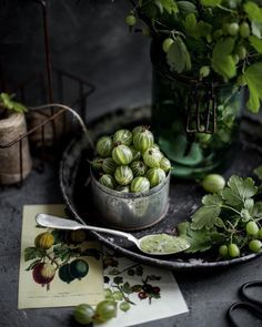 a table topped with a bowl of green fruit next to a potted plant and scissors