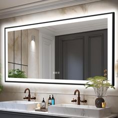 a bathroom sink with a large mirror above it and a plant on the counter top