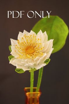 a white flower sitting in a vase on top of a table next to a green leaf