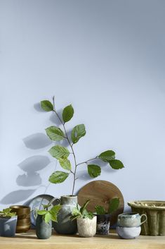 a wooden table topped with lots of pots and bowls filled with green plants next to a white wall