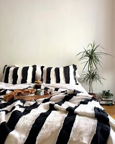 a bed with black and white striped comforter next to a potted palm tree