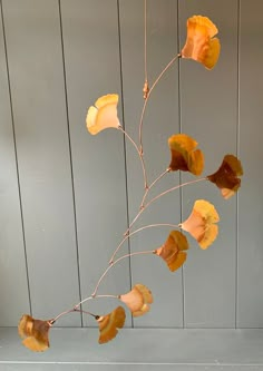 an arrangement of dried flowers hanging from a branch