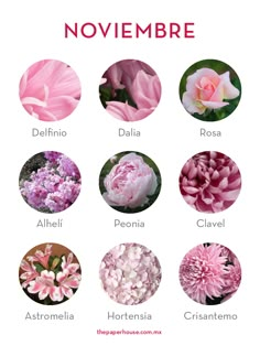 the names of different flowers in spanish