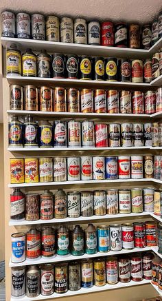 the shelves are filled with many different types of cans