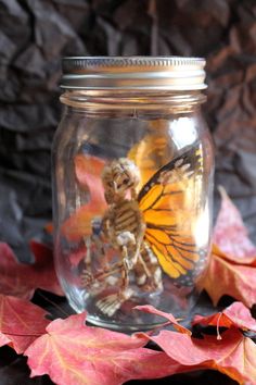 a glass jar filled with lots of different types of leaves and a stuffed animal in it