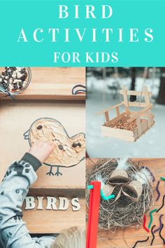 Bird activities for kids Birds Kindergarten Activities, Bird Activities For Kids, Cardboard Activities, Birds Preschool, Bird Activities, Cardboard Projects, Learning Corner, Well Educated, Nature Projects