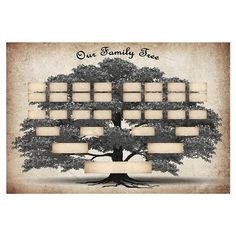 a family tree is shown with four frames on the bottom and two sides that are empty