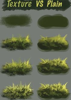 some grass and plants are shown in different stages of growth, with the text texture vs plain