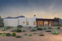 a desert home with cactus and cacti in the foreground