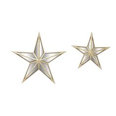 two gold star shaped earrings on a white background, one is shiny and the other is shiny