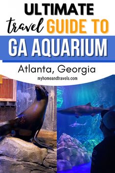 the ultimate guide to ga aquarium in atlanta, georgia with text overlaying it