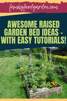 a garden with lots of plants in it and the words awesome raised garden bed ideas with easy