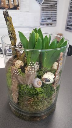 a glass vase filled with plants and rocks