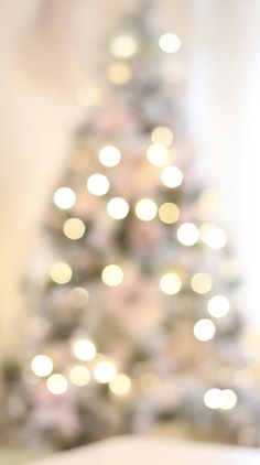 a small white dog sitting in front of a christmas tree