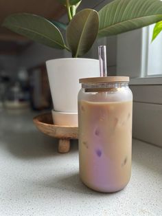 a glass jar filled with liquid next to a potted plant