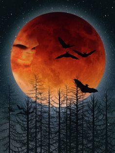 a full moon with birds flying in front of it and trees on the other side