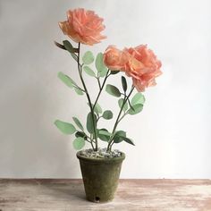 three pink flowers in a green pot on a wooden table next to a white wall