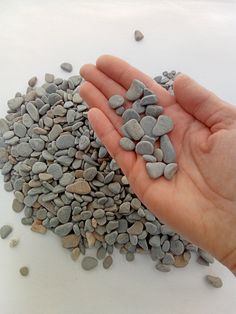 a hand holding some rocks in it's palm on top of a white surface