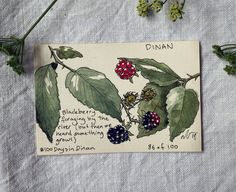 a card with berries and leaves on it sitting on a table next to some flowers