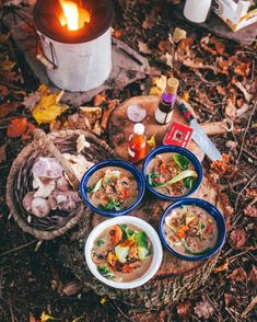 three bowls of soup sitting on top of a tree stump next to a campfire