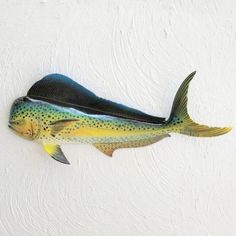 a fish mounted to the side of a wall