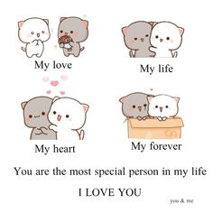 four different types of cats with the caption'i love you's my life