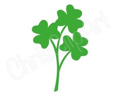 four leaf clovers on a white background