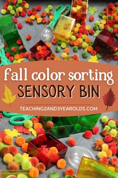 fall color sorting activity for toddlers with text overlay that reads, fall color sorting sensory bin