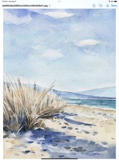 watercolor painting of beach scene with grass and sky