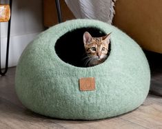 a cat sitting in a green ball bed on the floor