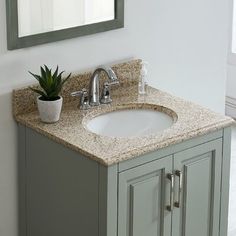 a bathroom sink with a mirror above it and a potted plant on the counter