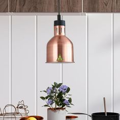 a potted plant sitting on top of a wooden table next to a metal light