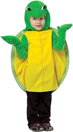 a little boy dressed in a costume that is green and yellow with a turtle on it's back