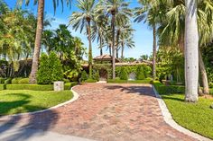 a brick driveway surrounded by palm trees and greenery