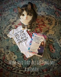 a cat sitting on top of a rug next to a baby's bodysuit