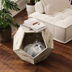 a cat sitting in a small wooden box on the floor next to a couch and potted plant