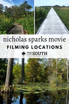 a boardwalk surrounded by trees and water with the words nicholas parks movie filming locations south